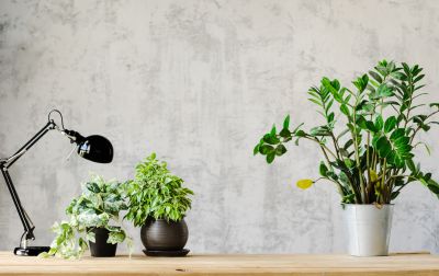 Office Wallpaper Installation in Roswell, GA
