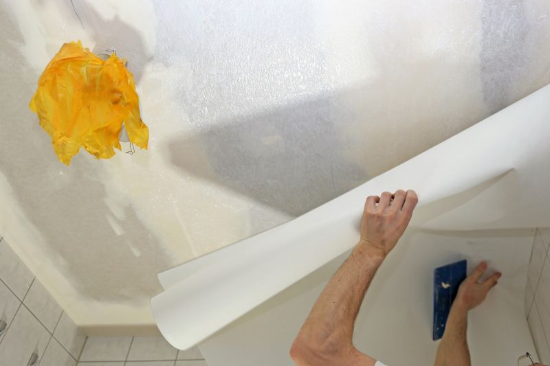 Wallpaper Replacement in Denver County, CO